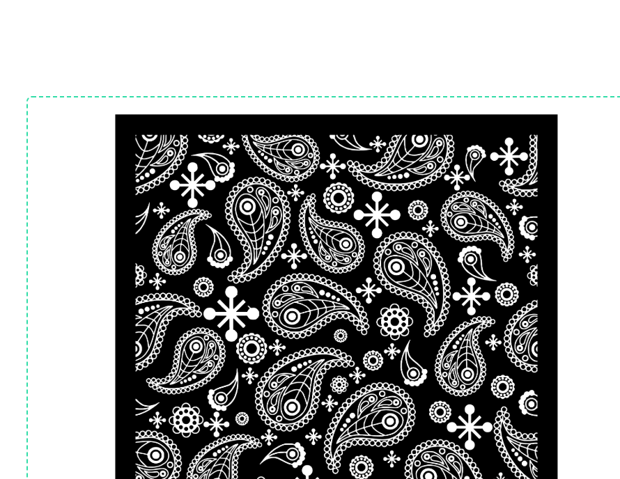 BCPL Local Library Bandana